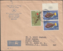 Israel - Canada Commercial Airmail Cover - Briefe U. Dokumente
