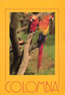 Lote PEP1559, Colombia,  Postal, Postcard, Guacamaya, Hola 3906, Macaw, Ara - Maximum Cards