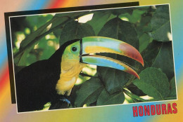 Lote PEP1563, Honduras,  Postal, Postcard, Tucan, Bird, Toucan - Honduras