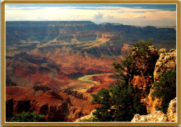 Arizona Grand Canyon National Park View From Lipan Point - Gran Cañon