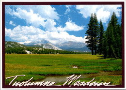 California Yosemite National Park Toulumne River And Meadow - Yosemite