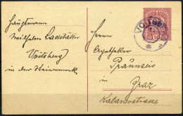 Österreich, P 233, Brief - Machine Postmarks