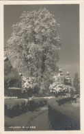 D4241) VELDEN Am WÖRTHERSEE - Stark Verschneiter Weg Richtung Kirche 1948 - Velden