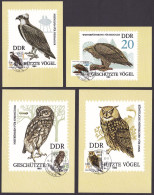 (2702-2705) DDR Maximumkarten 1982 Geschützte Greifvögel (MK-1-6) - Maximumkaarten