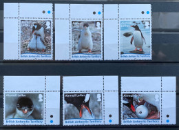 British Antarctic Territory 2016 MNH - Gentoo Letter Rate , Penguins - Ongebruikt