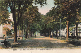 FRANCE - Albi - Les Allées La Pérouse - LL - Colorisé - Carte Postale Ancienne - Albi