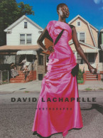 David LaChapelle – Photographs - New & Sealed - ISBN 9783901247118 - Fotografia