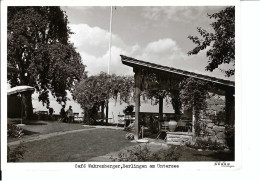 Berlingen Am Untersee, Café Wahrenberger 1956, Nicht Gelaufen - Berg