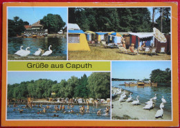 AK Grusse Aus Caputh Kr. Potsdam Bild Und Heimat Deutschland DDR Gelaufen Used Postcard A20 - Caputh