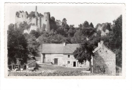 Montaigle Les Ruines Du Château ( Onhaye ) - Onhaye