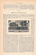 A102 1399 Bilder Aus Pretoria Südafrika Artikel / Bilder 1898 - Sonstige & Ohne Zuordnung