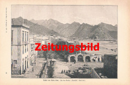 A102 1401 Erich Feyer Teneriffa Tenerife Artikel / Bilder 1898 - Other & Unclassified