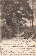 BELGIQUE - Hasselt - Les Environs De Hasselt - Allée à Genck -  Carte Postale Ancienne - Hasselt