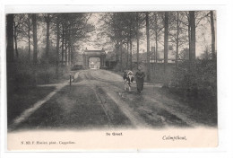 Kalmthout Calmpthout De Greef Geanimeerd Hoelen Cappellen Nr. 163 - Kalmthout