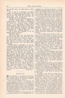 A102 1413 Storckh Hawaii Honolulu Artikel / Bilder 1897 - Altri & Non Classificati