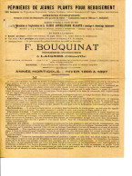 FACTURE.21.COTE D'OR.LAIGNES.PEPINIERES DE JEUNES PLANTS POUR REBOISEMENT.F.BOUQUINAT PEPINERISTE-SYLVICUTEUR.TARIF 1896 - Landwirtschaft