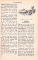 A102 1417 Hugo Arnold Püttner Burghausen Salzach Artikel / Bilder 1897 - Altri & Non Classificati