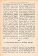 A102 1422 Liechtenstein 200 Jahre Jubelfeier Artikel / Bilder 1898 - Autres & Non Classés