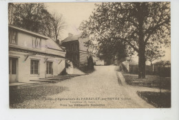 BOVES - ECOLE D'AGRICULTURE DU PARACLET - Vers Les Bâtiments Scolaires - Boves