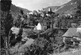 Peyreleau * Vue Sur Le Village - Andere & Zonder Classificatie