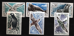 TAAF Terres Australes 1976 N° 55 / 60 ** Oiseaux, Pétrel, Sterne, Otarie, Phoque De Weddel, Cormoran, Manchot, Kerguelen - Neufs