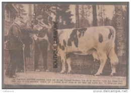 Le Marechal JOFFRE Admirant Dans Une De Nos Fermes Modèles Lors De Sa Visite Aux Etats-Unis(1922) Lire Légende - Politieke En Militaire Mannen