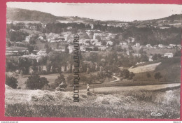 38 - SAINT GEOIRE EN VALDAINE-Vue Générale---personnes Faisant Les Foins--animé--cpsm Pf - Saint-Geoire-en-Valdaine