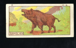 Jacques - 1933 - B4 - Sanglier, Everzijn, Wild Boar - Jacques