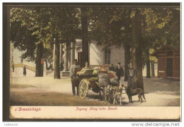 GRAVENHAGE---- Attelage De Chiens-- Marchand De Legumes..belle Carte Colorisée - Den Haag ('s-Gravenhage)