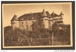 LACAPELLE MARIVAL---le Chateau...cpsm P.F - Lacapelle Marival