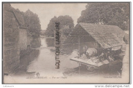 37--AZAY LE RIDEAU Vue Sur L'INDRE---laveuse--animé - Azay-le-Rideau