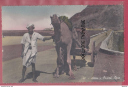 YEMEN-----ADEN---Camel Cart - Jemen