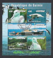 Bloc 6 Timbres Oblitérés  Guinée 1998   -   Greenpeace  -  Thème  Goëland - Protection De L'environnement & Climat