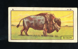 Jacques - 1933 - B18 - Bison - Jacques