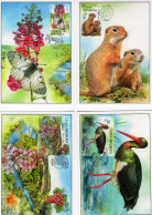 Czech Republic - 2023 - Nature Protection - Podyji National Park - Set Of 4 Maximum Cards With Holograms - Briefe U. Dokumente