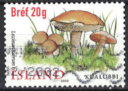 Iceland Island 2002. Mi.Nr. 1000, Used O - Used Stamps