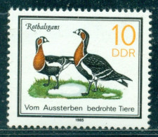 1985 The Red-breasted Goose (Branta Ruficollis),Protected Birds,DDR,2953,MNH - Geese