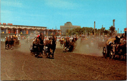 Canada Calgary Stampede Chuckwagon Races - Calgary