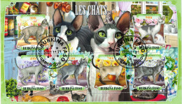 CHCT27 - Cats, Fauna, Stamp Mini Sheet, Used CTO, 2021, Burkina Faso - Burkina Faso (1984-...)