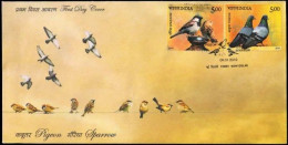India 2010 Pigeon And Sparrow, Bird. Birds, Aves, Pot, Pottery, FDC (**) Inde Indien - Brieven En Documenten