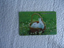 KOREA   USED CARDS ANIMALS RABBITS - Konijnen