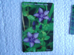 KOREA   USED CARDS  PLANTS FLOWERS - Flowers