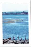 Mali - Koulikoro - Sans Légende - Pêcheurs Au Bord Du Fleuve - Mali