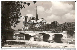 75 - 4è - PARIS - Le Pont De L'Archevêché Et Notre Dame - Semi Moderne Petit Format - Notre Dame De Paris