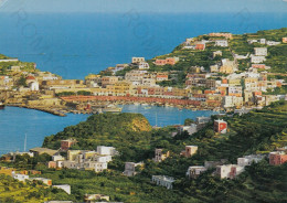 CARTOLINA  PONZA,LATINA,LAZIO-PANORAMA DEL PORTO DAI CONTI-MEMORIA,CULTURA,RELIGIONE,IMPERO ROMANO,VIAGGIATA 1980 - Mehransichten, Panoramakarten