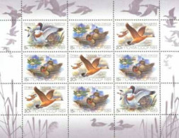 USSR 1989 Ducks Sheetlet Mint - Canards