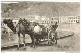 Yemen * Aden - Chameau Avec Eau - Très Belle Carte !! - Yémen