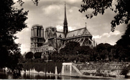 Paris - Notre Dame Vue Des Quais - Notre Dame De Paris