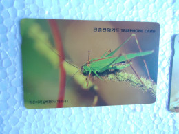 KOREA   USED CARDS  INSECTS - Other & Unclassified