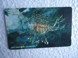 KOREA   USED CARDS  FISHES MARINE LIFE  FISHES - Fische